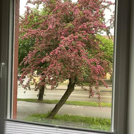 Mirka Centrum * Lidzbark Warminski