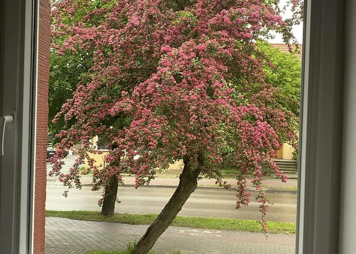 Mirka Centrum * Lidzbark Warminski